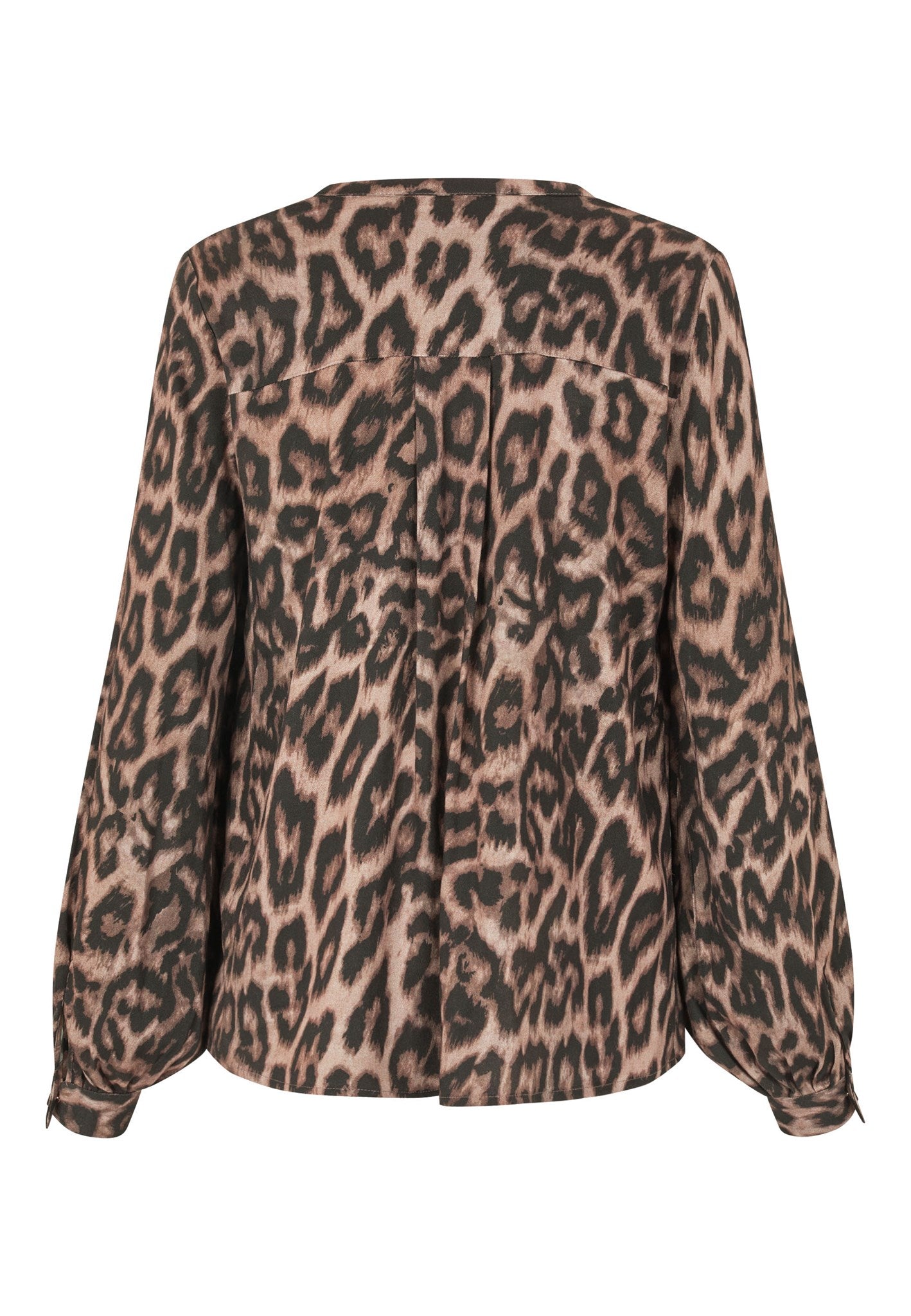 2560725 5888 Highres A