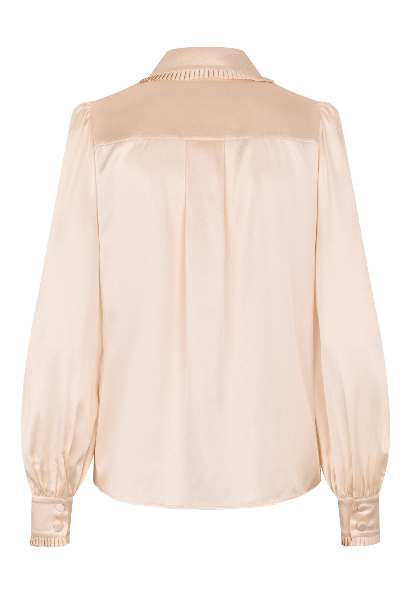 2570725 1239 Highres