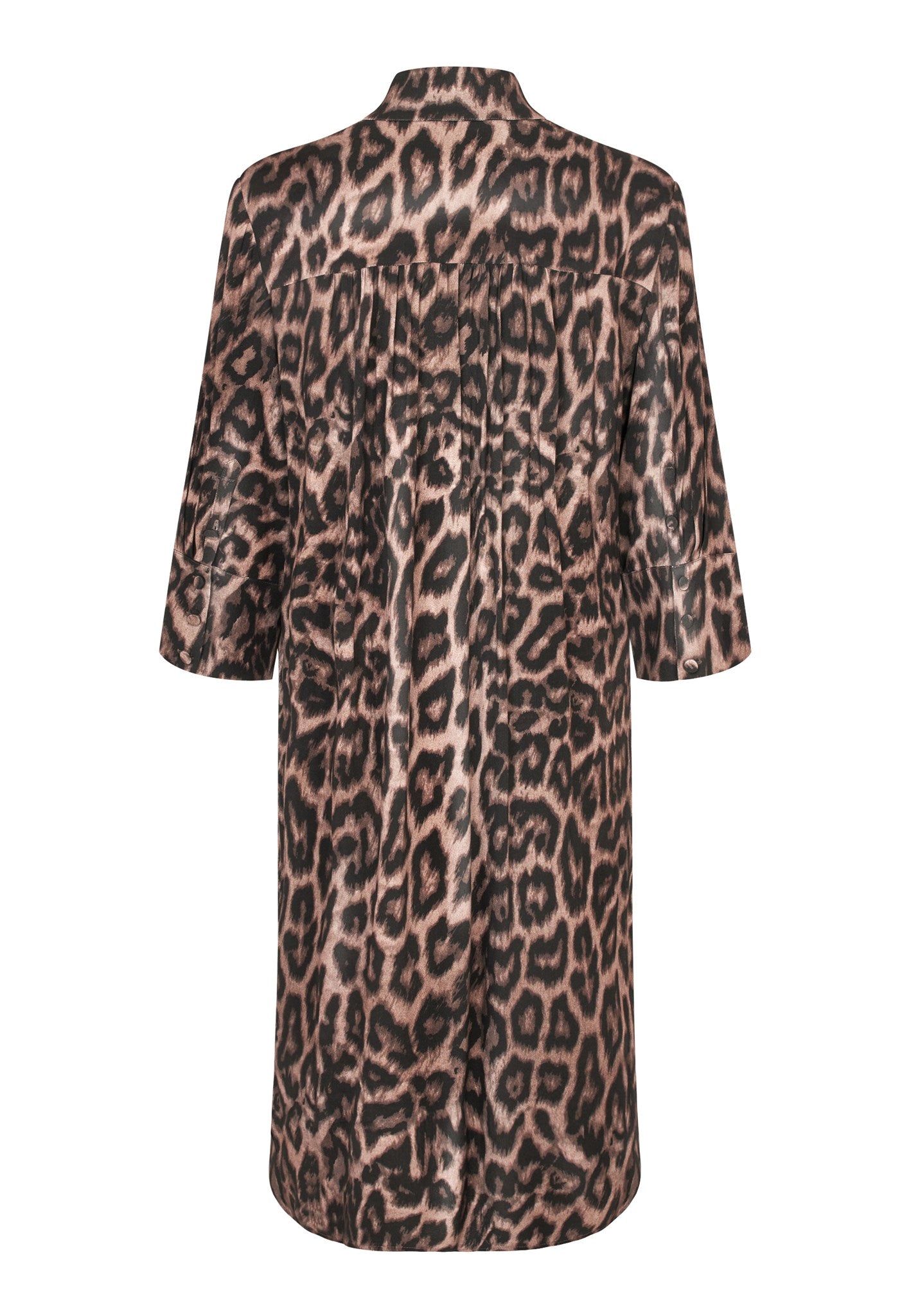 2901025 5888 Highres A